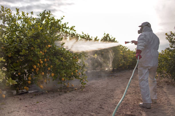 Professional Pest Control in Adelanto, CA
