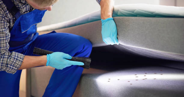 Best Pest Control for Homes  in Adelanto, CA
